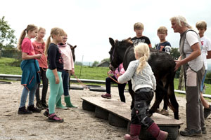 Ein Zirkuskunststück wird gemeinsam erarbeitet