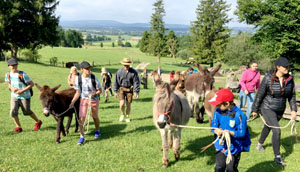 Aufbruch zur Eselwanderung