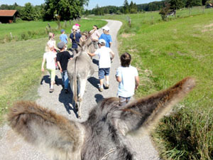 Grosse gemeinsame Kinder- und Eselwanderung