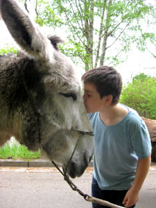 Nähe aufbaün, zulassen, geniessen