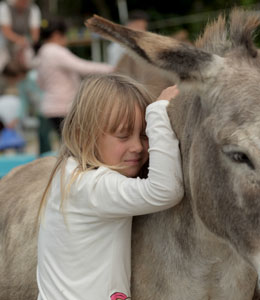 >Wenn alle Beteiligten gewinnen, ....
